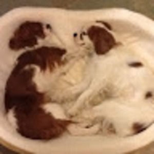 Meet your Posher, Leslie